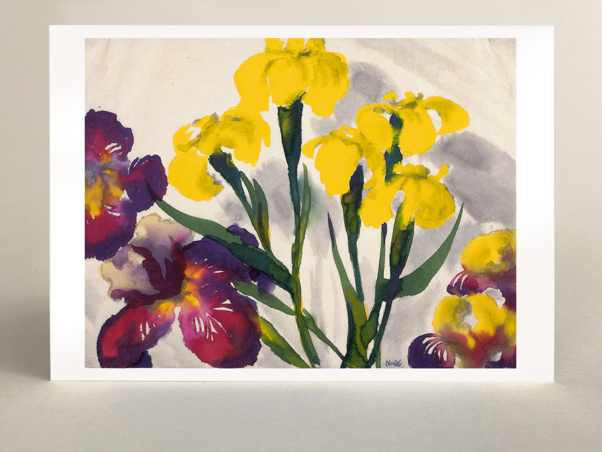 Kunstkarte: "Gelbe und violette Iris"